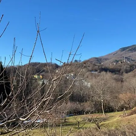 Cosy Pet Friendly In Italy Portula